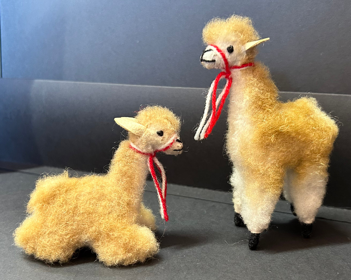 Vicuña Pair