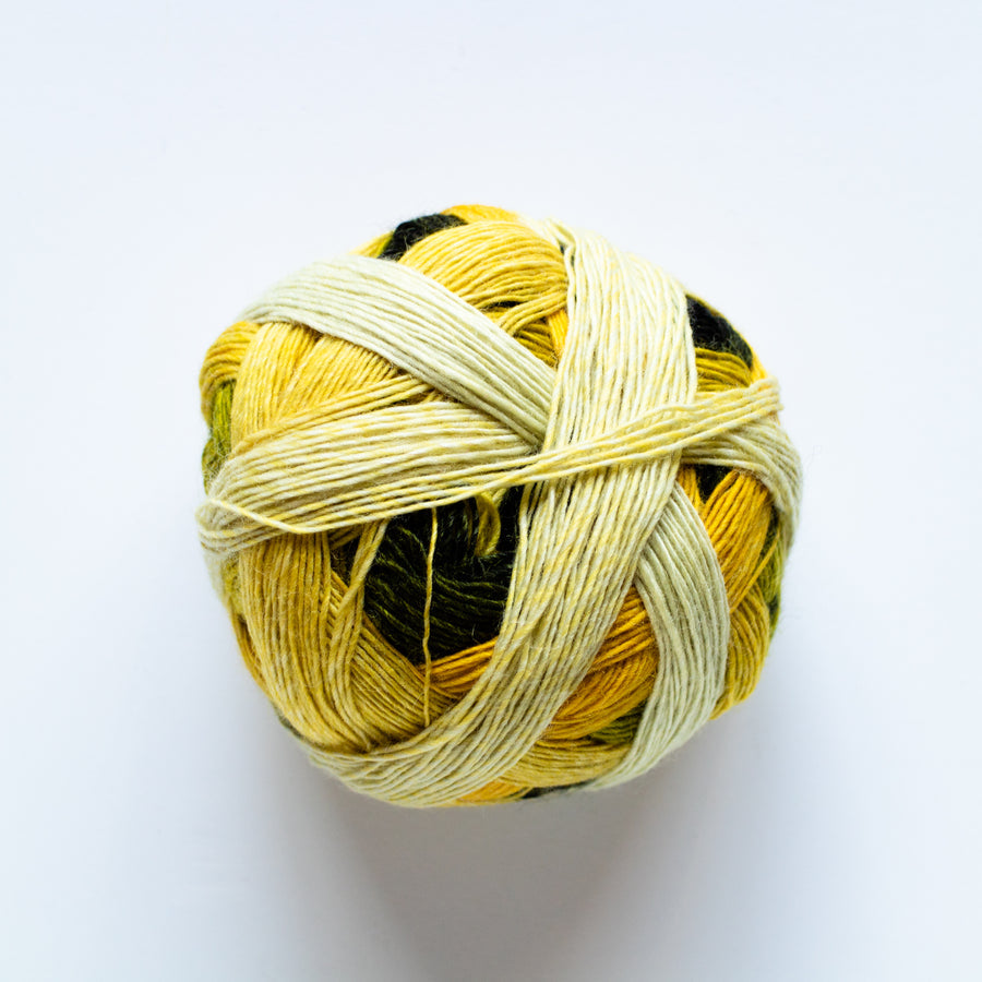 Zauberball 100 Merino 4ply